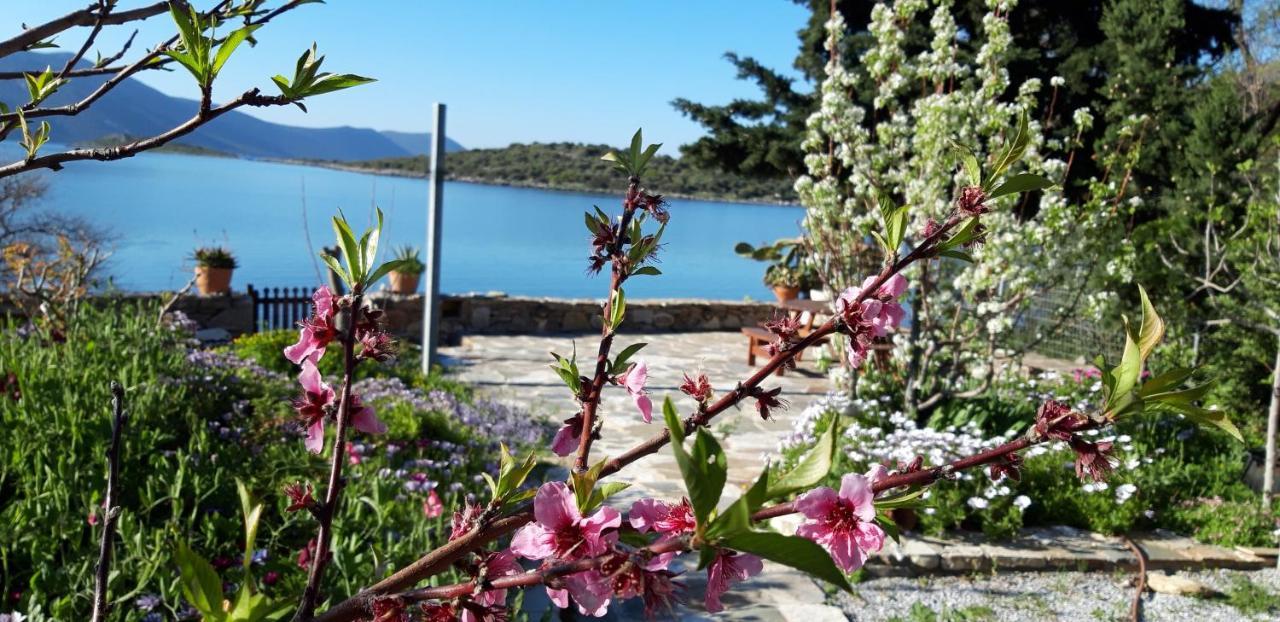 Blueline Guesthouse Agios Dimitrios  Eksteriør billede